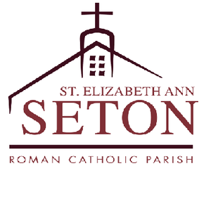 Team Page: St Elizabeth Ann Seton